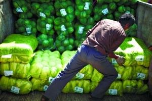 北京菜价普涨局面基本形成 均价涨至每公斤3元