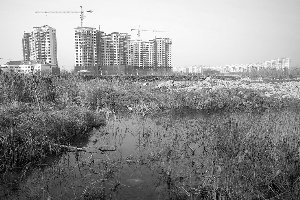 联手美国巨头铁狮门 城投控股涉足新江湾城