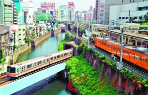 �������ٶ³��Ĵ���У�ͣ�����Υ���ط�(ͼ)