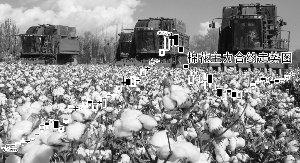 ũ��Ʒ���ƽ���ů���������ڻ�����