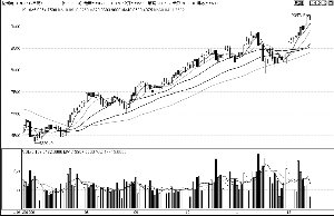 �й�������ʩ����ͭţ����
