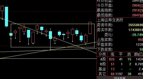 上海金汇:大盘年内会再上次3000 关注两类股