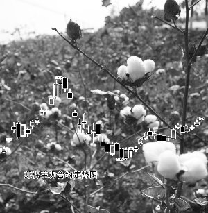 ��ǿ�������� ֣�޸�������