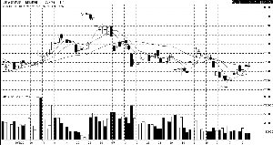 ���� ѹ���̴�