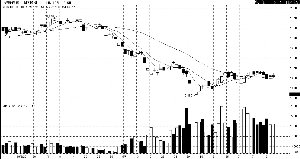 п ��߻���