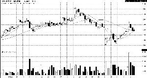 ���� ��Ͷ�嵭