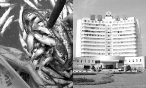 96ֻ���������Ͻ��ҵ��