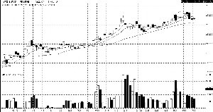 �ƽ� ά����