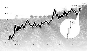 ��ͷЮ5���ʽ�Ʋ�����9�º�Լ