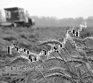 ǿ�����״��¸߿���������������۸�