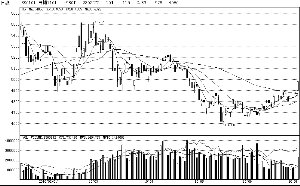 郑糖高调迎抛储 能否持续需观望