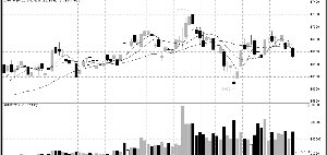 �޻� �����յ�