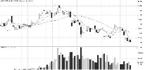 ���� β�̻���