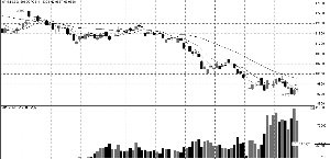 ���� ��������