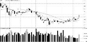 ������������ ���Ƿ�������