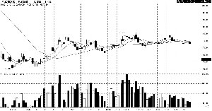 ���� ��ƫ��