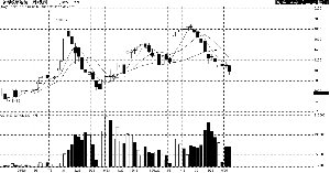 �ֲ��ڻ���ͷ��������