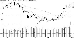 �����ʽ��볡 ũ��Ʒ�г���߻���