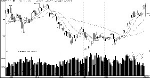 轮胎巨头持续买入 天胶牛市没完没了
