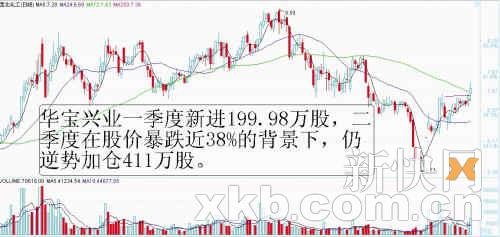 ����������������11.8�� ������ҵ���ƼӲ�