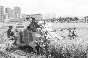 �����չ����� ͨ��Ԥ�ڻ���