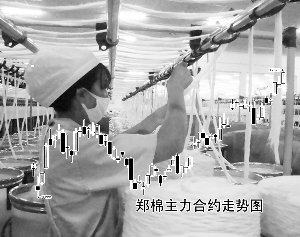 ��֯ҵţ�С�ʮ���һ�ء� �޻�����ì���ٴ�͹��