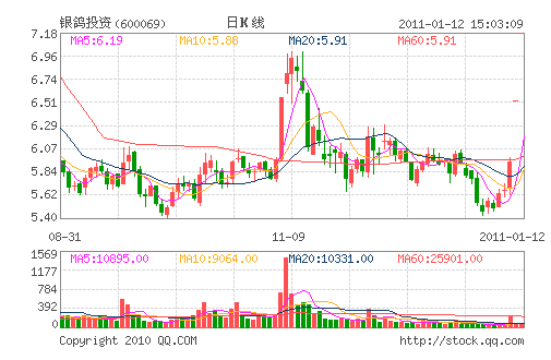 ����Ͷ��(600069)
