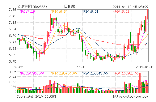 ��ؼ���(600383)