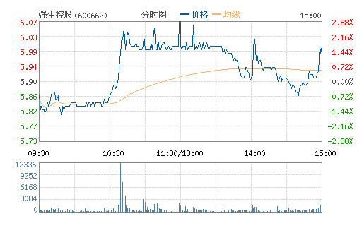 ǿ���ع�(600662)