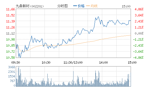 九鼎新材(002201) 九鼎新材(002201)