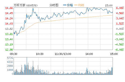 ������(600576)