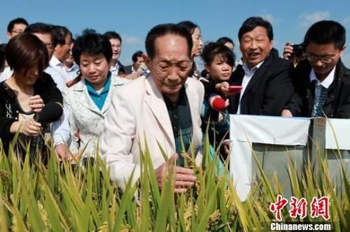袁隆平:杂交粳稻亩产也要突破900公斤