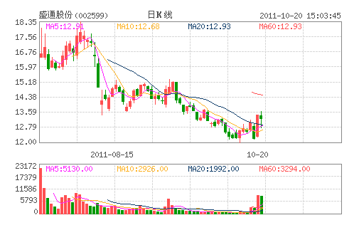 ʢͨ�ɷ�(002599)