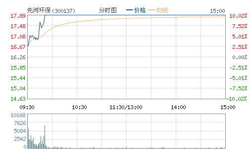 先河环保(300137) 先河环保(300137)
