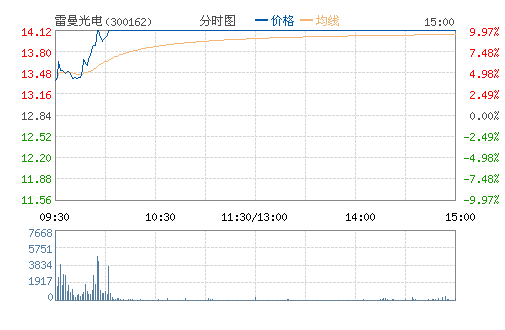 �������(300162)