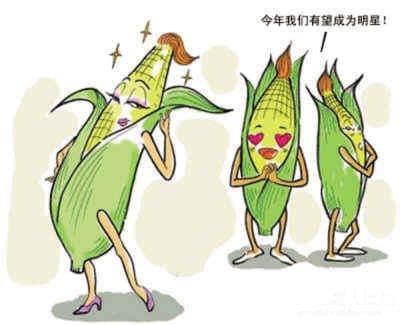 ���������µ�  ��������ǿ���״��������׷������ȵ�͸�ӣ�