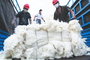 �մ���Ϣ������ͷ���� ֣�޻���������