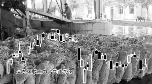 ���γ��̽��벹����� �𽺼۸�������������