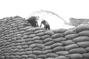 ����ί����ʮ���塱�ڼ�����������ⷢչ