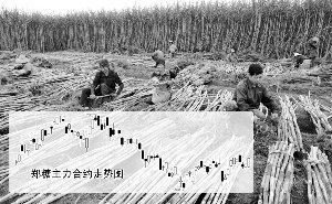 ����ȱ�ڻ��200��ֶ��ڰ��������Ȳ�����