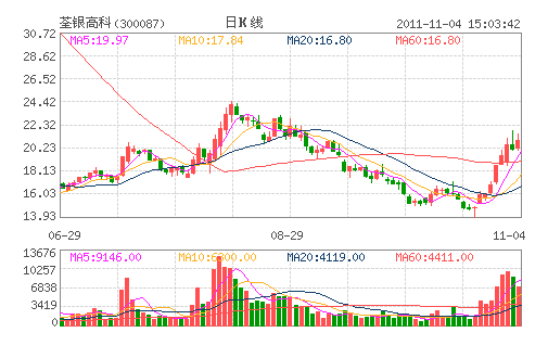 荃银高科(300087) 荃银高科(300087)