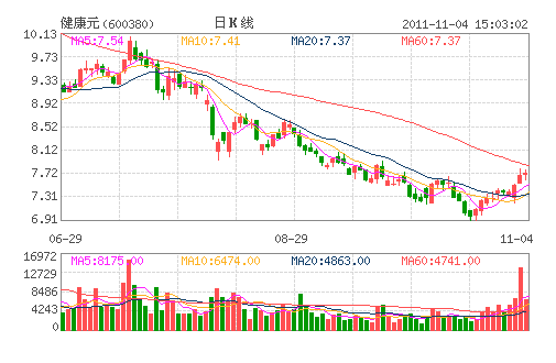 健康元(600380) 健康元(600380)