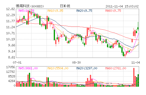 博闻科技(600883) 博闻科技(600883)