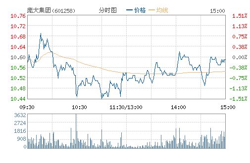 庞大集团(601258) 庞大集团(601258)