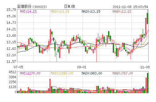 宝德股份(300023) 宝德股份(300023)
