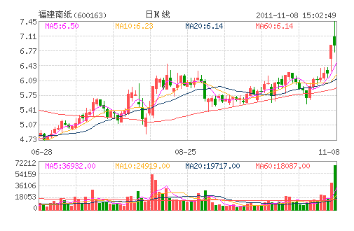福建南纸(600163) 福建南纸(600163)