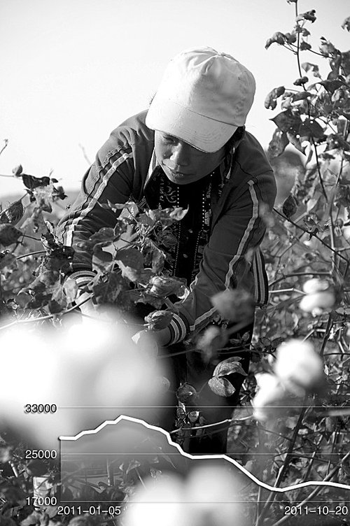 �޼۰�����ĳ� ������ũ������200Ԫ/Ķ