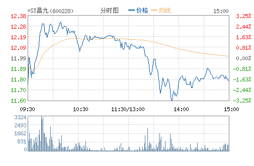*ST����(600228)