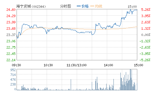 ����Ƥ��(002344)