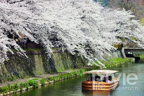 ����Żݿ�����